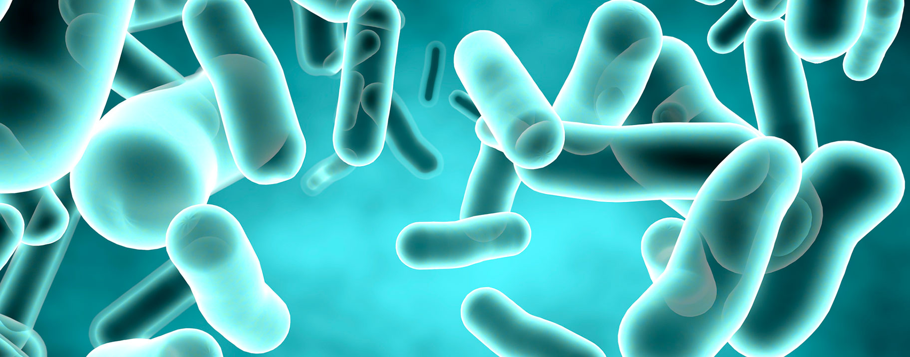 Il microbiota intestinale, quanto lo conosciamo a fondo